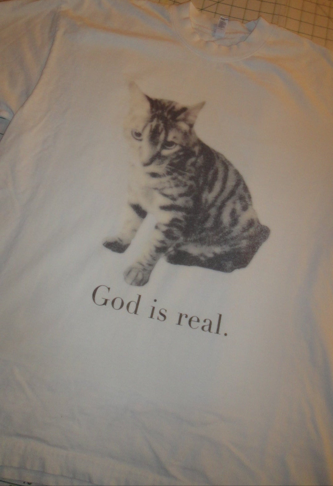 GOD IS REAL & IS A CAT