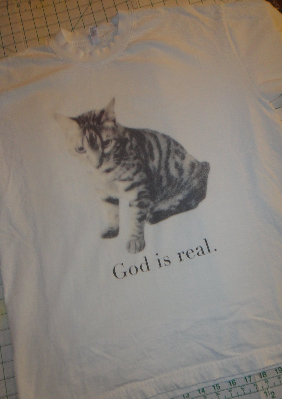 GOD IS REAL & IS A CAT