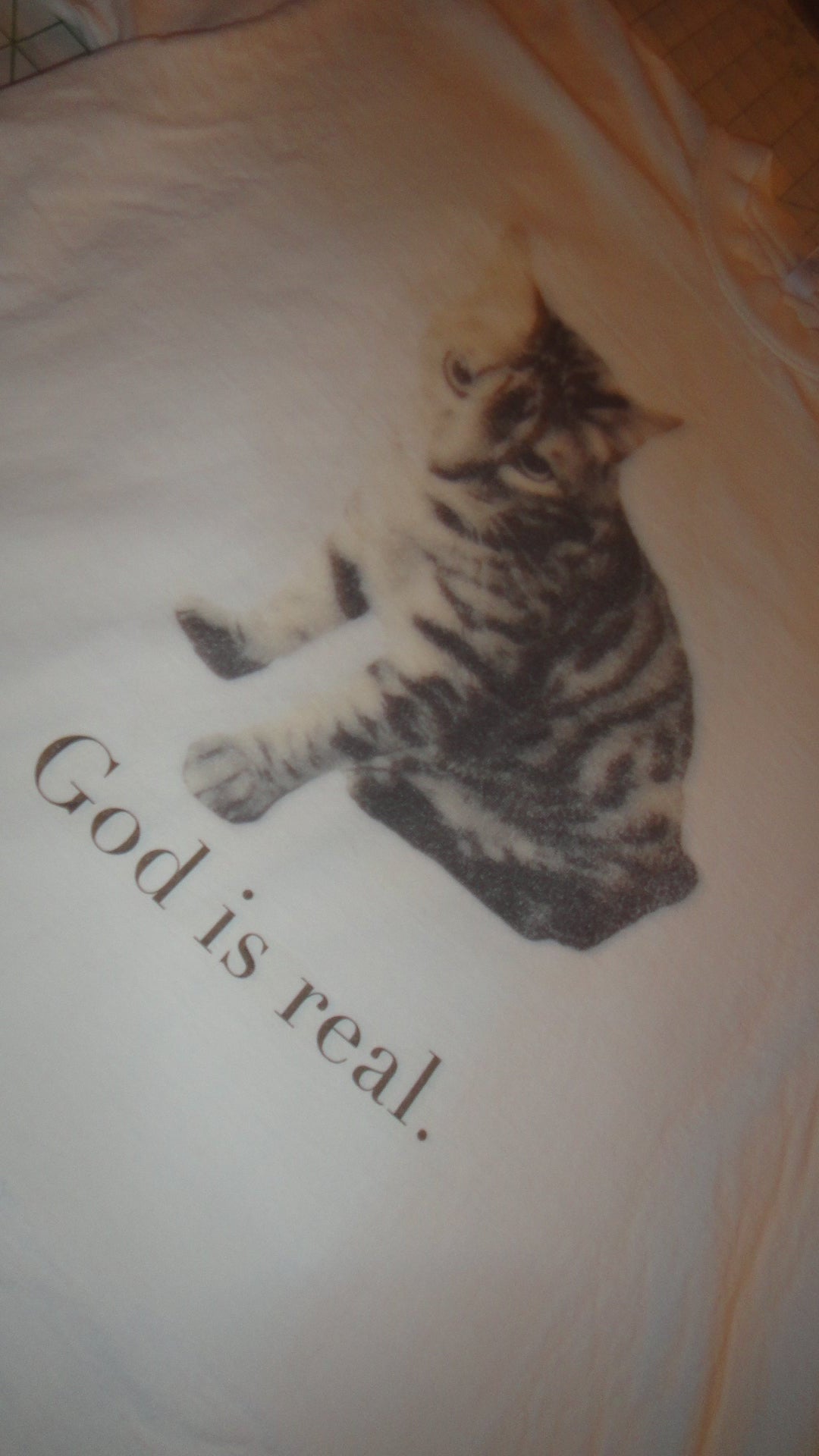 GOD IS REAL & IS A CAT