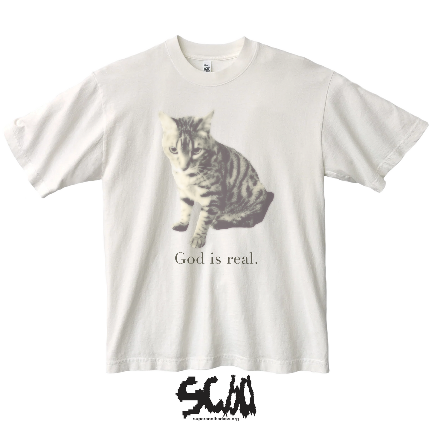 GOD IS REAL & IS A CAT